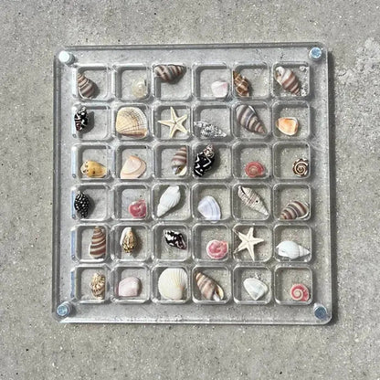 Seashell Display Case